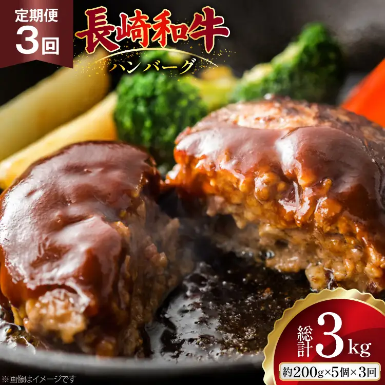 AJ586 【3回定期便】長崎和牛 ハンバーグ 約1kg (200g×5個)   [ まるしん商会 長崎県 島原市 ]