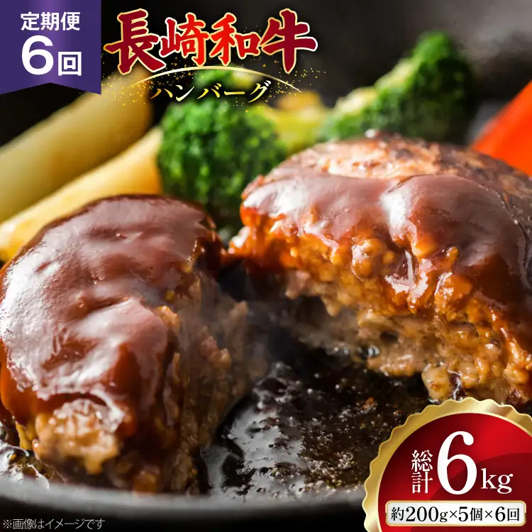 AJ587 【6回定期便】長崎和牛 ハンバーグ 約1kg (200g×5個)   [ まるしん商会 長崎県 島原市 ]