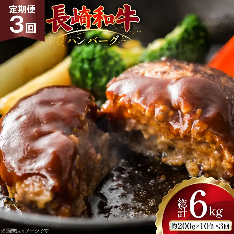 AJ589 【3回定期便】長崎和牛 ハンバーグ 約2kg (200g×10個)   [ まるしん商会 長崎県 島原市 ]