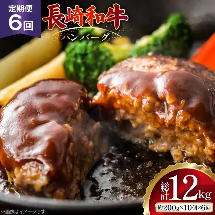 AJ590 【6回定期便】長崎和牛 ハンバーグ 約2kg (200g×10個)   [ まるしん商会 長崎県 島原市 ]