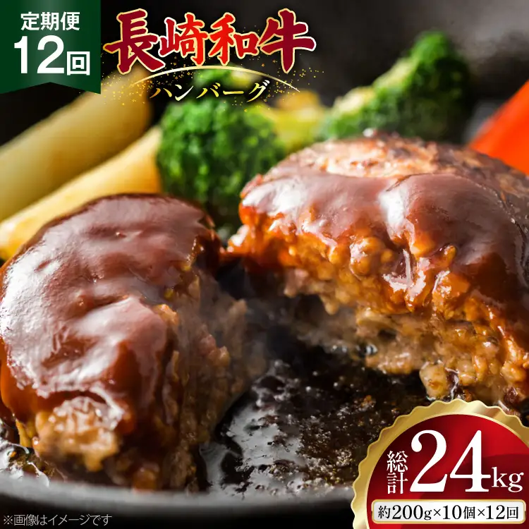 AJ591 【12回定期便】長崎和牛 ハンバーグ 約2kg (200g×10個)   [ まるしん商会 長崎県 島原市 ]