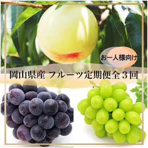 岡山県産 フルーツ定期便全３回＜お一人様向け＞