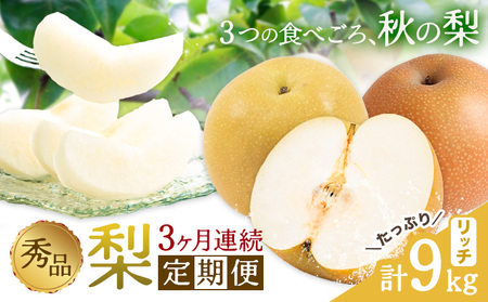 秀品 3ヶ月連続 梨の定期便 リッチ 計9kg 日本フルーツ株式会社《8月上旬-10月末頃出荷》熊本県 荒尾市  梨 なし 豊水梨 秋月梨 新高梨 果物 フルーツ 定期便
