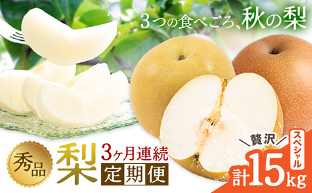 秀品 3ヶ月連続 梨の定期便 スペシャル 計15kg 日本フルーツ株式会社《8月上旬-10月末頃出荷》熊本県 荒尾市  梨 なし 豊水梨 秋月梨 新高梨 果物 フルーツ 定期便