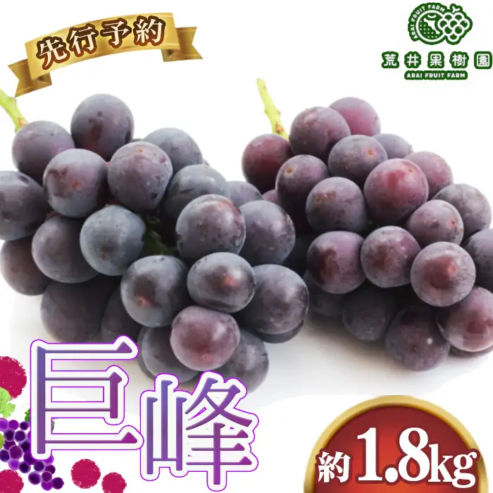 【先行予約】荒井果樹園の巨峰　約1.8kg No.590