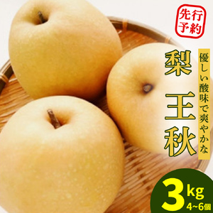 ＜農家直送＞梨 王秋 4～6個(約3kg) 先行予約 2026年発送 完熟 フルーツ 果物 産地直送 糖度 高い 梨 茨城  人気 (BB005)