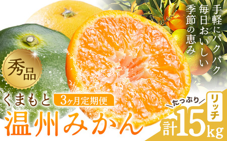 秀品 温州みかん 3ヶ月 定期便 リッチ 計15kg 日本フルーツ株式会社《10月上旬-12月末頃出荷》熊本県 荒尾市 みかん 温州みかん ミカン 蜜柑 柑橘類 極早生 早生 中生 果物 フルーツ