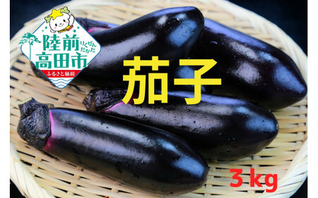 先行予約 農家直送！ 茄子3kg(18本前後) 黒福 なす 茄子