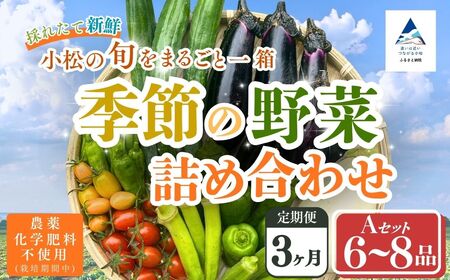 【定期便3ヶ月】季節の野菜詰め合わせ Aセット 野菜食べ比べ 旬の野菜 野菜セット定期便 | 石川県 小松市【Kacchan.Farm】