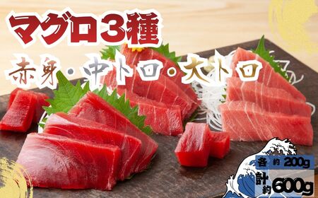 【出荷時期：7月上旬～】本マグロ 3種 赤身 中トロ 大トロ 各1柵 国産 本鮪[fu-0027-001]