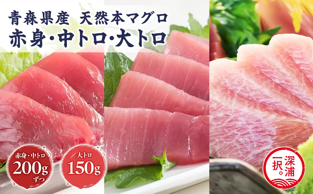 天然 本マグロ 赤身 中トロ 大トロ 3種セット 国産 本鮪  [fu-0012-002]