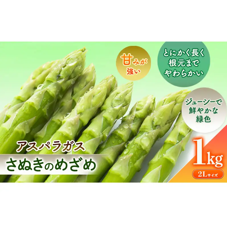 砂川さんの特選 アスパラ 1kg 2Lサイズ【さぬきのめざめ】 アスパラガス 冷蔵便 野菜 甘い 美味しい グリーンアスパラ 1万円 10000円 肉厚 野菜セット 新鮮 旬 とれたて お取り寄せ 小分け BBQ 自宅用 家庭用 