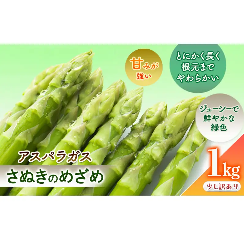 少し訳ありSWANの特選アスパラ1kg【さぬきのめざめ】 野菜 野菜セット アスパラガス 訳ありアスパラ 