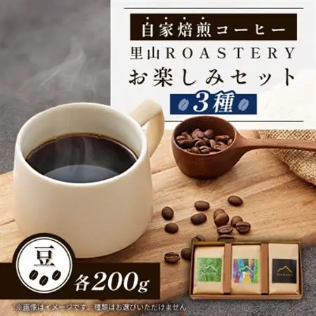 【豆:3種計600g】自家焙煎コーヒー豆(200g×3)　里山ROASTERYお楽しみセット【1695726】