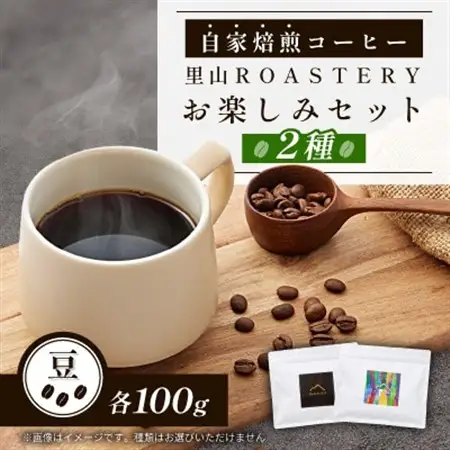 【豆:2種計200g】自家焙煎コーヒー豆(100g×2)　里山ROASTERYお楽しみセット【1695730】