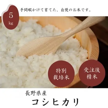 長野県産特別栽培米　コシヒカリ　精米　5kg【1716831】