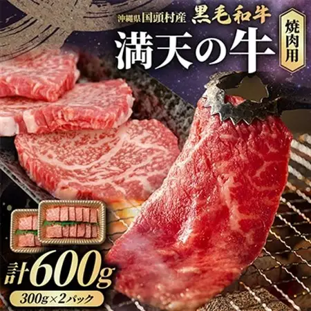 やんばるの自然が育んだ「黒毛和牛 経産牛」焼肉用 合計600g(300g×2パック)【配送不可地域：離島】【1716641】
