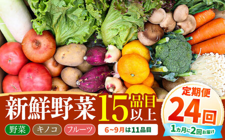 【24回定期便】野菜定期便15品目以上 [SCZ003]