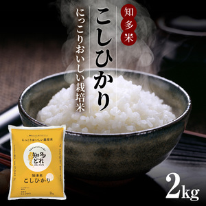 にっこりおいしい栽培米　知多米こしひかり（2kg）