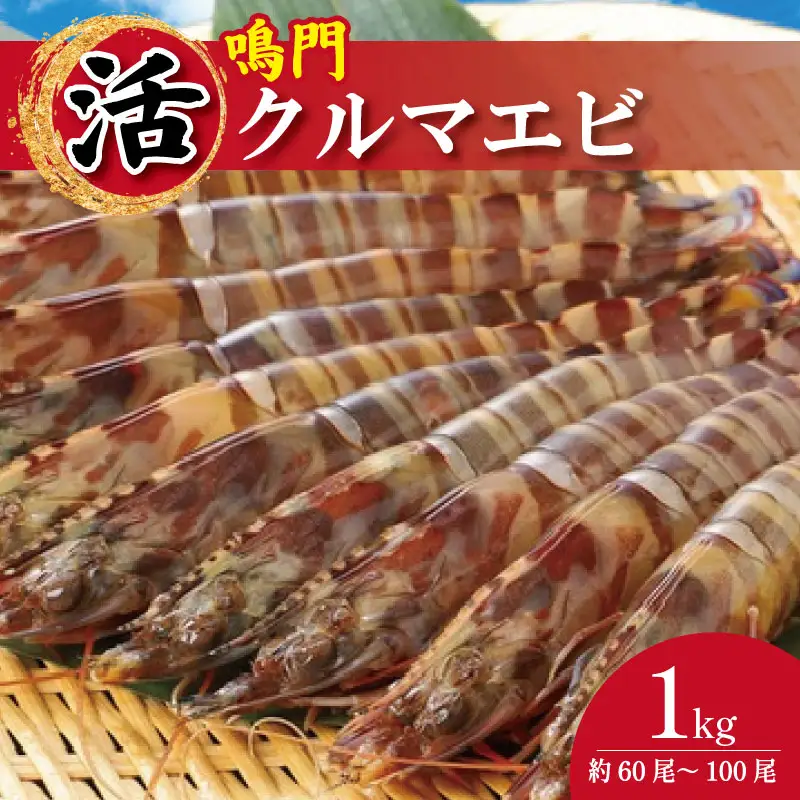【指定日必須】 活き車海老 1kg 約60尾～100尾 クルマエビ