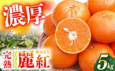 【ご家庭用】麗紅（れいこう）約5kg 長与町/果豊園[ECL014]