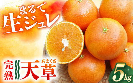 【ご家庭用】天草 （あまくさ） 約5kg 長与町/果豊園[ECL015]