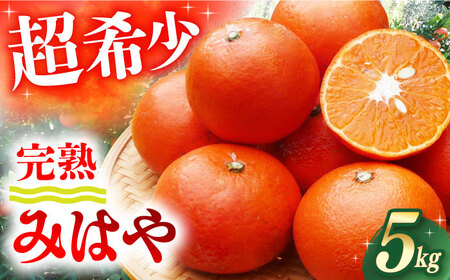 【ご家庭用】 みはや 約5kg 長与町/果豊園[ECL016]