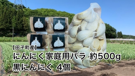 丸美農園 田子産にんにく家庭用バラ 約500g＋黒にんにく 4個
