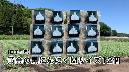 丸美農園 田子町産【遠赤外線熟成】黄金の黒にんにく(Mサイズ)　12個