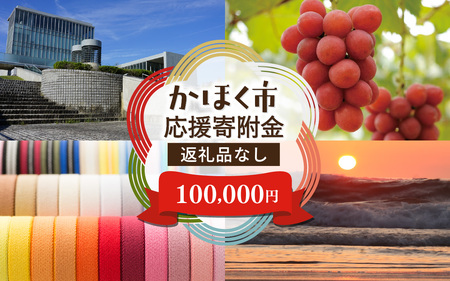 【返礼品なし】石川県 かほく市 応援寄附金 100,000円分 | 支援 純粋寄附