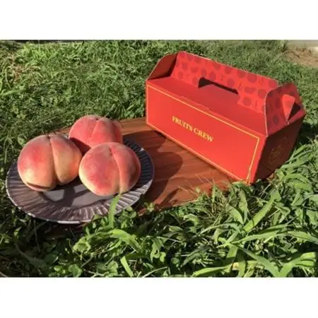 【気品ある隠れた名桃　幸茜】本場山梨の品種指定キャンペーンお試し約1kg　8月中旬より順次発送【配送不可地域：離島・北海道・沖縄県・中国・四国・九州】【1704733】