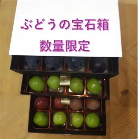 【2026年発送】ぶどうが光り輝く宝石に!!牧丘天空の丘ブランドぶどうの宝石箱 約700g【配送不可地域：離島】【1705539】