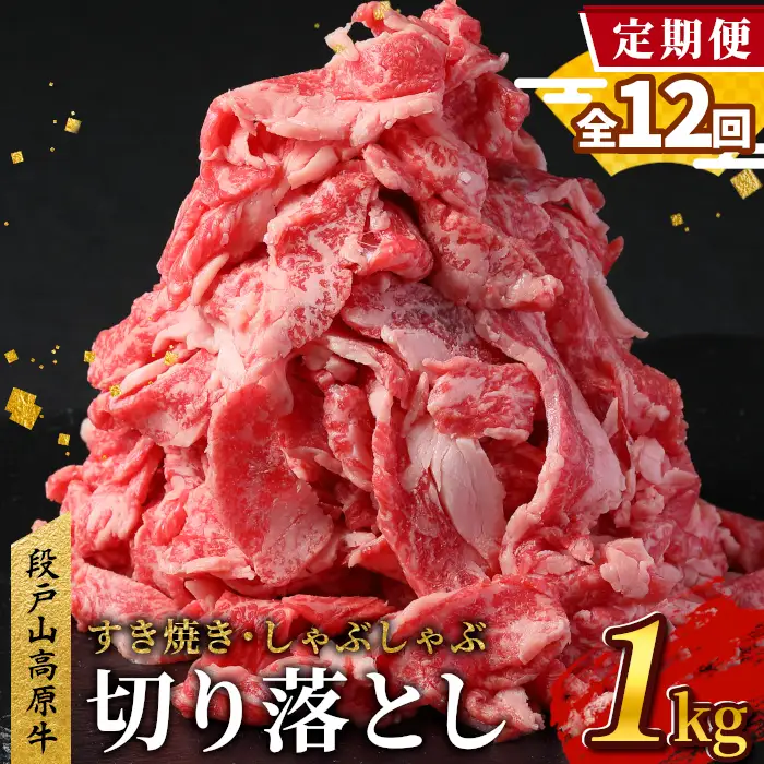 【全12回 定期便】 段戸山高原牛 切り落とし 1kg (200g×5）定期便 牛肉 肉 国産牛 焼肉 すき焼き しゃぶしゃぶ 不揃い 冷凍 愛知県 設楽町 国産 牛肉 牛 スライス 小分け 大満足 赤身 数量限定 牛肉切り落とし 牛切り落とし sukiyaki niku 蓬莱泉 牛丼 牛 酒粕育ち 定期便 ブランド牛 -232