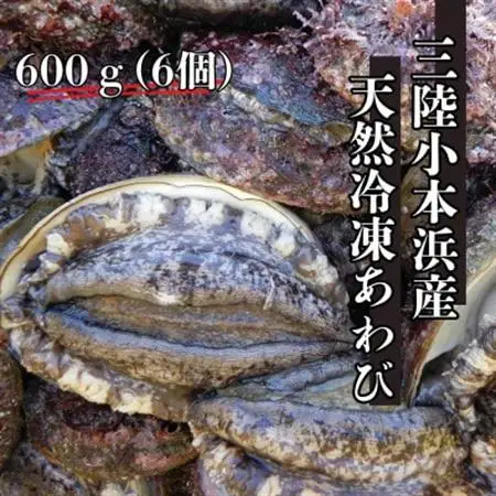三陸小本浜産冷凍天然あわび　600g(6個入り)【配送不可地域：離島】【1717034】