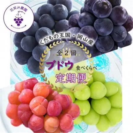 【発送月固定定期便】岡山　花笑み農園のブドウ食べ比べ　全4種全2回【配送不可地域：離島】【4083154】