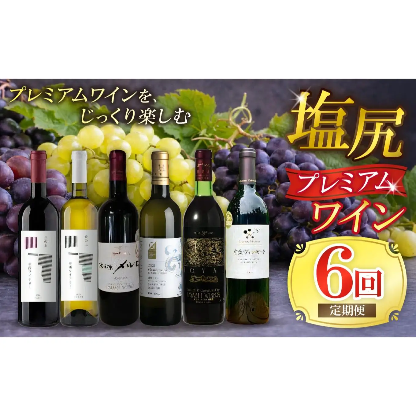 塩尻プレミアムワイン定期便【全6回】