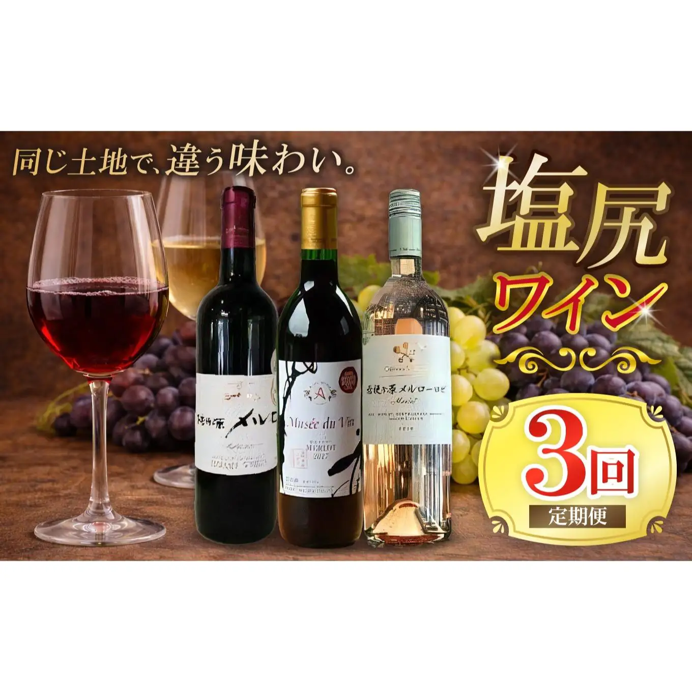 塩尻ワイン はじめての3回定期便