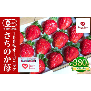 徳島 厳選 グルメ定期便【12ヶ月毎月お届け】