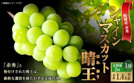 [HS]【定期便 全2回】ぶどう 最高級品シャイン マスカット 晴王 1房 約700g【2026年9月上旬～10月下旬発送】【ブドウ 葡萄  岡山県産 船穂産 フルーツ 果物 ギフト】