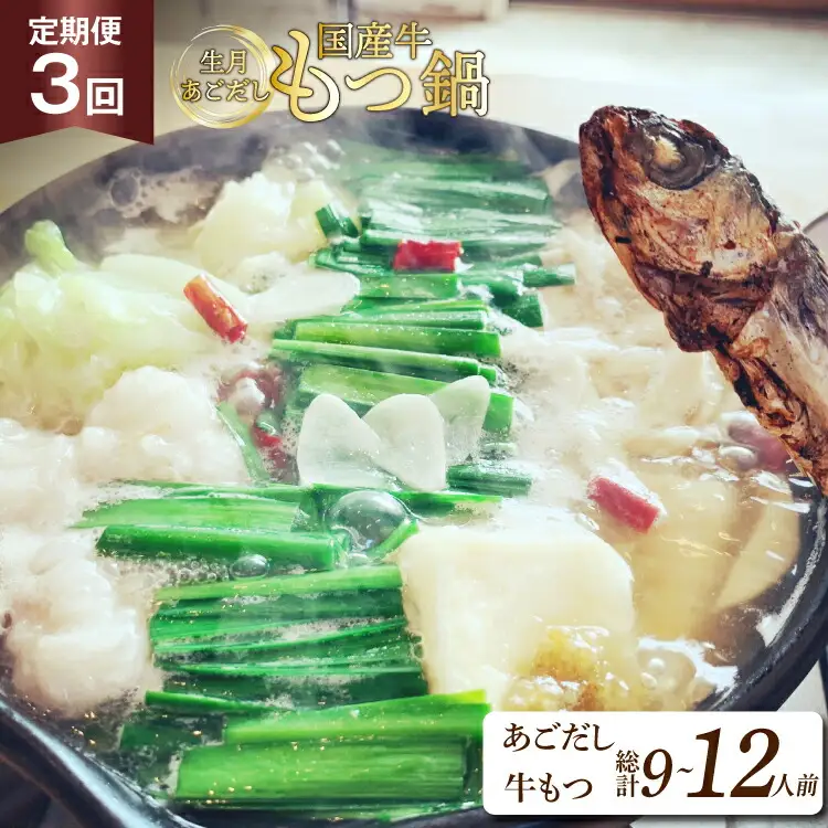 もつ鍋 あごだし セット 3～4人前 3回 定期便 総計 9～12人前 [Vive la vie! 長崎県 平戸市 hr42bgy420513]