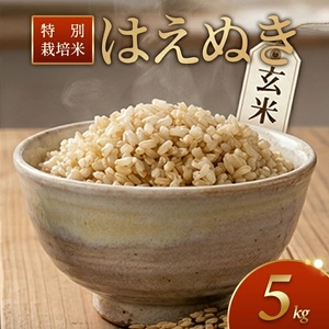 特別栽培米 はえぬき 5kg 玄米 令和7年産 山形県産 東北 山形県 遊佐町 庄内地方 米 お米 庄内米 ご飯 ごはん 産地直送 農家直送  [1420R07]