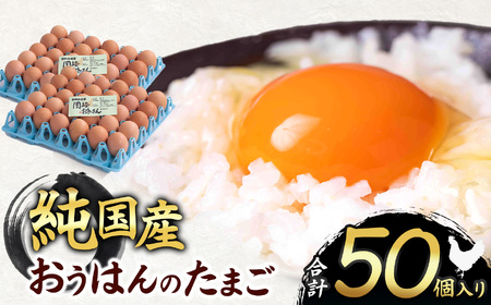 信州産純国産鶏「おうはん」のたまご　50個入り