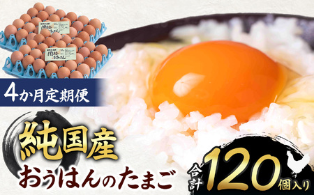 【4ヵ月定期便】信州産純国産鶏「おうはん」のたまご　30個入り