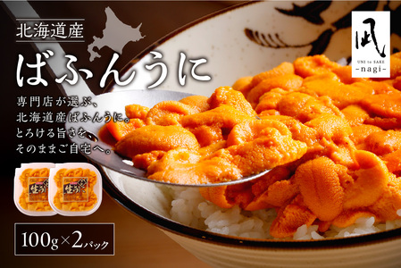 【先行受付】《北海道産》バフンウニ 塩水 100g×2パック＜札幌カネシン水産＞ | ウニ丼 無添加 北海道 札幌市