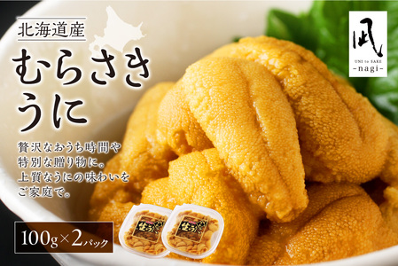【先行受付】《北海道産》ムラサキウニ 塩水 100g ×2パック＜札幌カネシン水産＞ | ウニ丼 無添加 北海道 札幌市