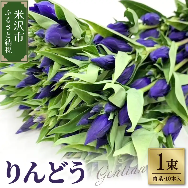 【先行予約】 りんどう 青系 1束 10本入り 花 生花 切花