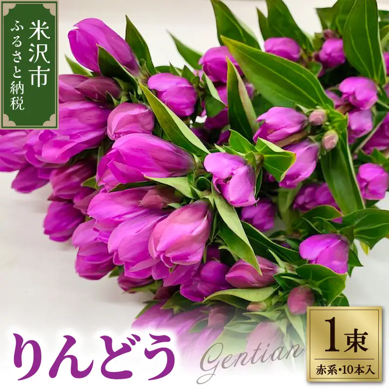 【先行予約】 りんどう 赤系 1束 10本入り 花 生花 切花