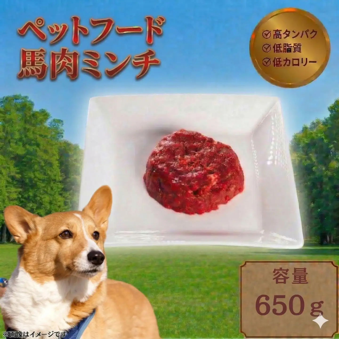 ペットフード 【馬肉ミンチ】 冷凍・真空包装