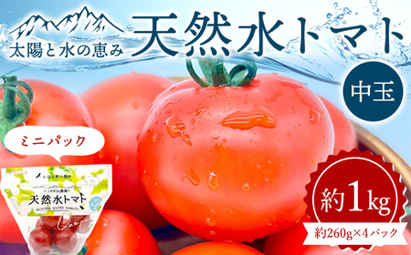 太陽と水の恵み 天然水トマト 中玉 ミニパック 約1kg  F25R-067