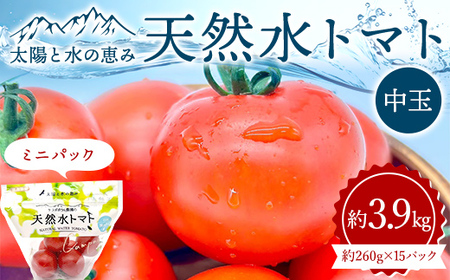 太陽と水の恵み 天然水トマト 中玉 ミニパック 約3.9kg  F25R-069